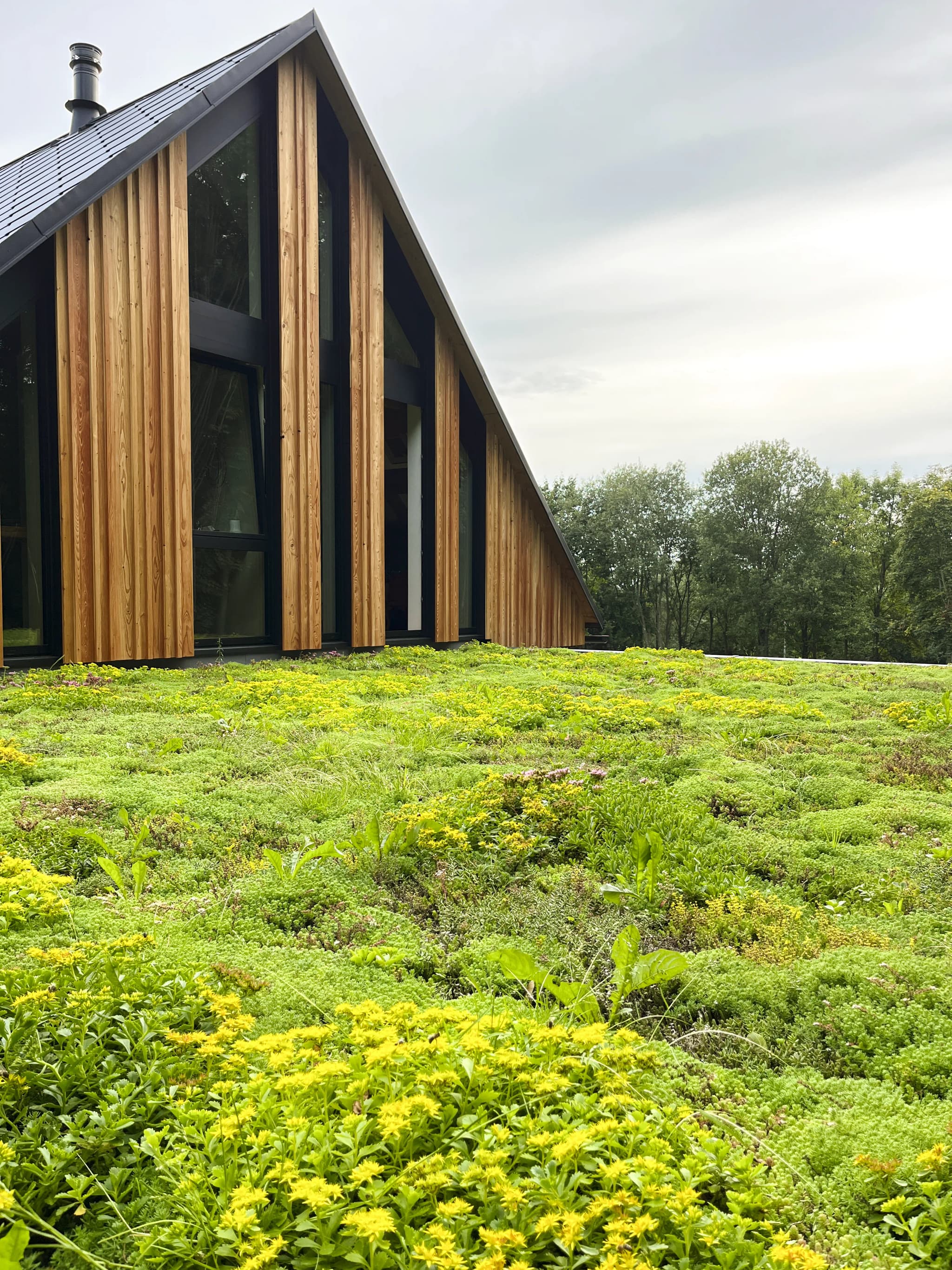 Beautiful ornamental and utility garden with colorful flowers and herbs